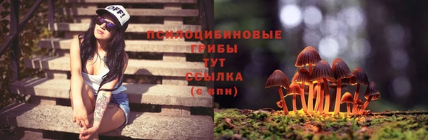 спиды Волосово