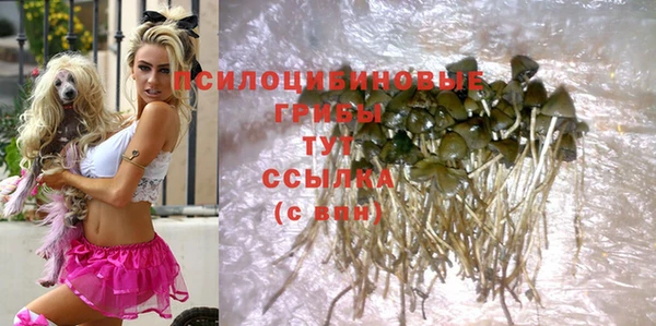 спиды Волосово