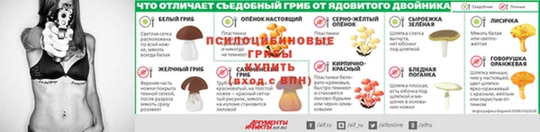 спиды Волосово