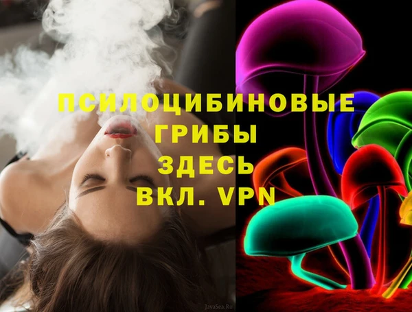 спиды Волосово