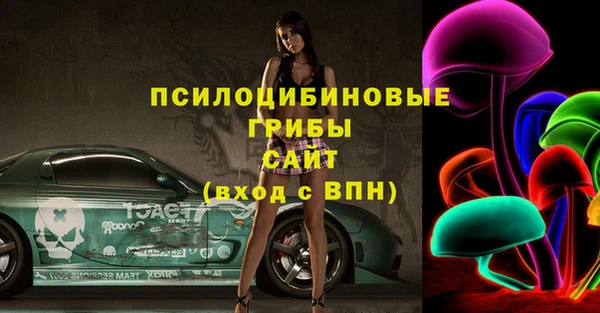 спиды Волосово