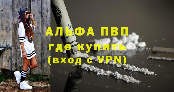 спиды Волосово