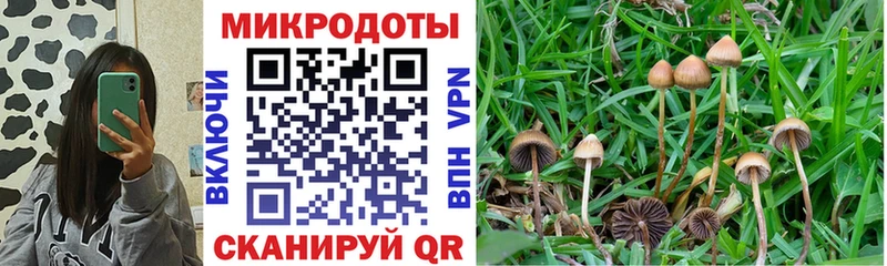 как найти закладки  Северодвинск  Псилоцибиновые грибы Psilocybine cubensis 